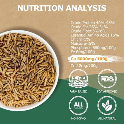 Premium Dried BSF Larvae for Chickens - 2LB High Calcium Supplement, Molting and Laying Support, Non-GMO & High-Protein Treats, Food for Wild Birds, Ducks, Repitle | Top Grade BSF - size: 10 Pound (Pack of 1)