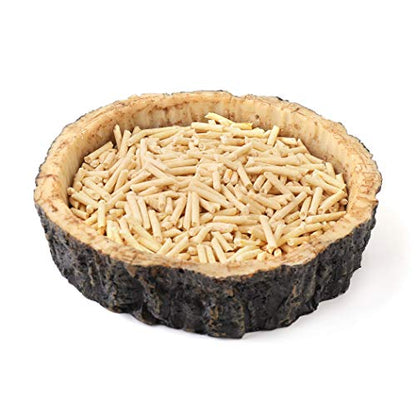 CalPalmy 2 Pack Reptile Water and Food Bowls, Novelty Food Bowl for Lizards, Young Bearded Dragons, Small Snakes and More - Made from BPA-Free Plastic