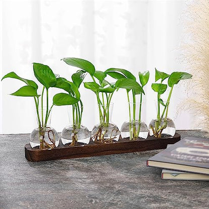 YIBOT Propagation Vases for Plants Terrarium with Wooden Tray,5 Glass Vases | Tabletop Plant Terrarium for Propagating Hydroponic, Retro Glass Planter Flower Vase Home Kitchen Office Decor Gifts - size: 5 Vase-T