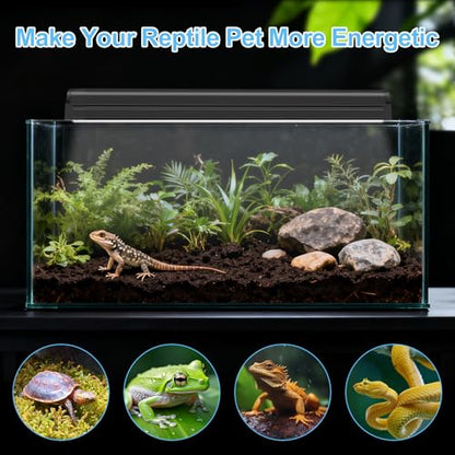 LUCKY HERP T5 Reptile Light Fixture Combo Kit 8W (New Upgrade), 10.0 UVB Light for Reptiles and Amphibians, UVA UVB Basking Light Desert Lamp for Lizard, Bearded Dragon, Tortoise 12inch - size: 12 Inch