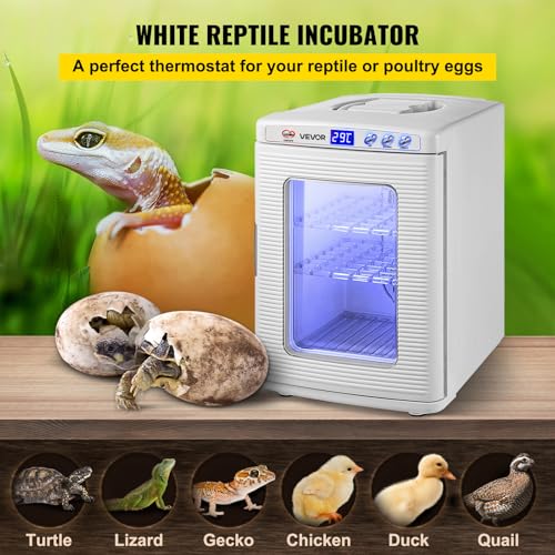 Happybuy White Reptile Incubator 25L Scientific Lab Incubator Digital Incubator Cooling and Heating 5-42°C Reptile Egg Incubator 12V/110V Work for Small Reptiles - color: White