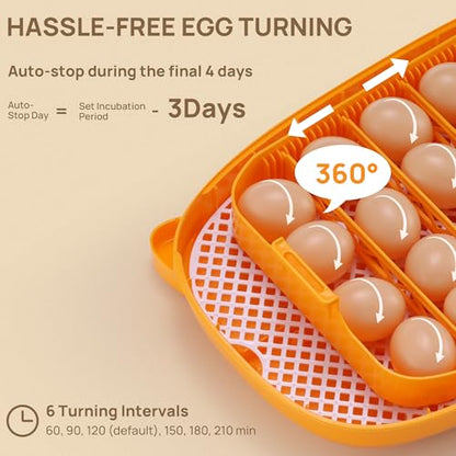 TURBRO Incubator for Hatching Eggs, Automatic Turning, Temperature & Humidity Control, Built-in Candler, 360° Viewing, 24 Egg Incubators for Chicken, Duck, Quail, Turkey, Goose, Parrot, Bird | 24 Egg Incubators, Automatic Turning, Built-in Candler, 360° V