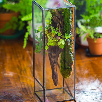 NCYP Closed Glass Terrarium with Door - 3.9x3.9x11.8 Inches Rectangular Tall Planter Box for Fern, Succulent Plants, Home Garden Tabletop Decor, Handmade (Terrarium Only) - size: 3.9x3.9x11.8 inches