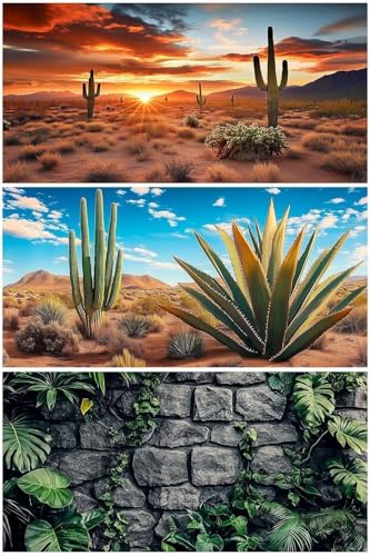 48X24IN 3 Pack Aquarium Terrarium Fish Tank Background, Reptile Habitat Bearded Dragon Tank Background, Polyester Black Rock Sun and Desert Cactus Terrarium Decor Wallpaper - size: 48X24in/120X60cm