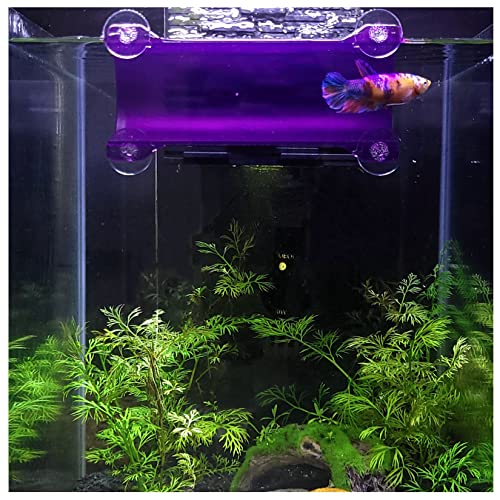 Brand Betta Tunnel (Translucent Purple) - color: Translucent Purple