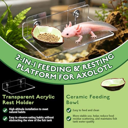 3 in 1 Axolotl Habitat Enrichment Set, Resting Feeding Holder | Mesh Hammock, Clear Platform with Suction Cup, Ceramic Dish, Floating Toy Balls, Axolotl Tank Decor Accessories
