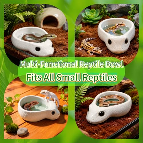 Reptile Water Dish, Ceramic Snake Water Bowl for Snake, Leopard Gecko, Bearded Dragon and Lizard, Reptile Bathing Pool Food Feeding Dish, Terrarium Tank Accessories (White) - color: White