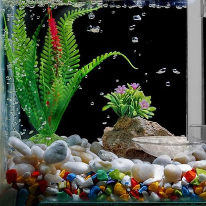 ibasenice Aquarium Fish Feeder Tube with Suction Cup, Acrylic Shrimp Feeding Tool 15cm with Cleaning Brush for Fish Tank and Shrimp Tank Accessories