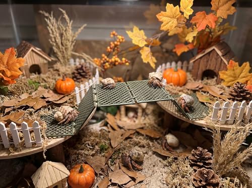 Hermit Crab Climbing Platform, Foldable Habitat Ladder | Creates customizable climbing paths that encourage natural exploration while maximizing vertical space hermit crab habitats - color: Black