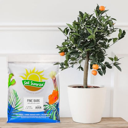 Soil Sunrise 100% Natural Pine Bark Mulch Nuggets (12 Quarts) Small Chips for Indoor/Outdoor Container Gardening, Ideal for Soil Supplement, Houseplant Topper, and Terrariums - size: 12 Quarts