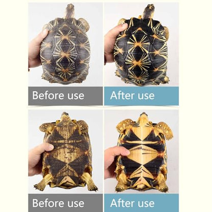 Turtle Shell Cleaning Liquid - Advanced Tank Cleaning Tool | Powerful Aquarium Scrubber, Easy Turtle Hygiene Solution, Effective Aquatic Pet Cleaner, Tank Maintenance Brush For Turtles