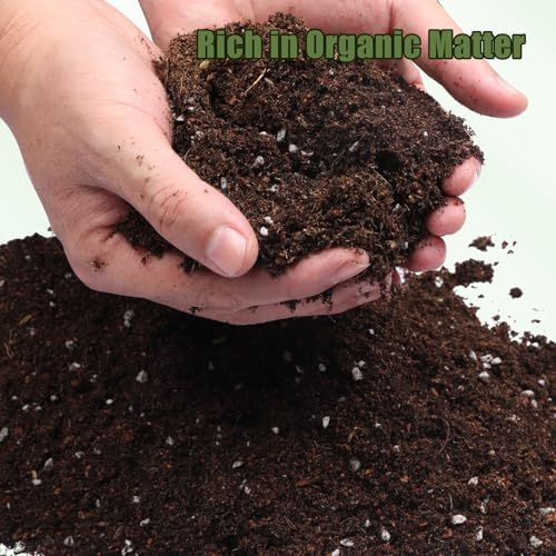 Doter Potting Soil Mix for Fern 1qt, Custom Hand Blended Mixture Suitable for Indoor/Outdoor Potted Fern Plant - size: 1qt