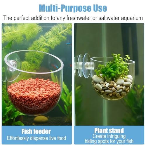 3 Pack Clear Fish Tank Plant Holder Aquatic Plant Cups Fishes Tanks Plants Pot Acrylic Aquarium Plants Holder with Suction Cups for Home Aquariums Aquascape Decor, Red Worm Fish Shrimp Feeder