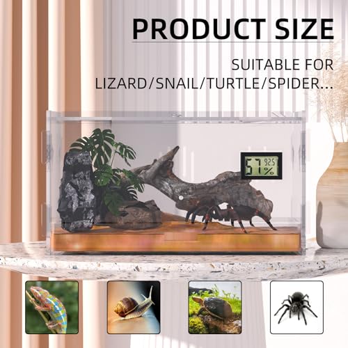 Reptile Terrariums with Temperature Hygrometer, 11.8"x7.9"x5.9" Acrylic Breeding Box Terrarium Cage Tank for Small Reptile Insect Home Office (Terrestrial) - size: Terrestrial--M (Tray)