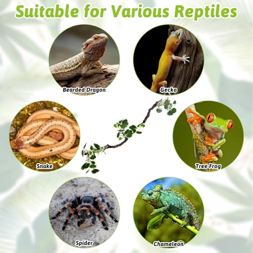 PINVNBY Flexible Bend-A-Branch Climbing Reptile Jungle Vines Snake Climbing Branch for Terrarium Plants Crested Gecko Tank Accessories for Leopard Gecko Lizard Chameleon Frog (Green)