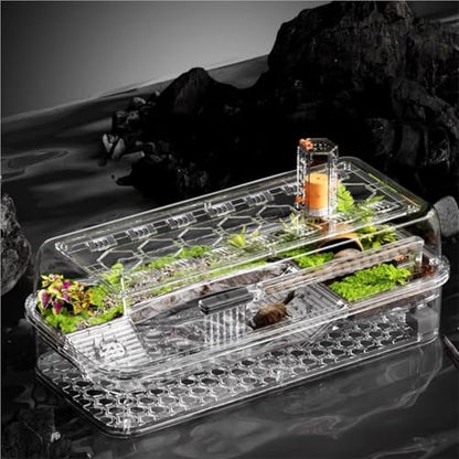 Reptile Tank Turtle breeding Tank Sun Drying Platform Climbing Household Desktop Easy Assembly(Medium) - size: Medium