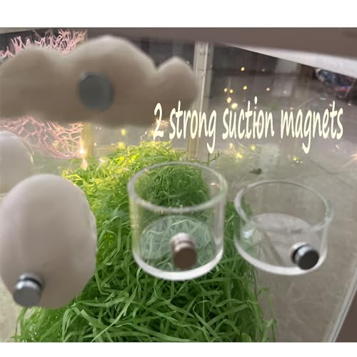 2Pcs Jumping Spider Feeding Dish, Magnetic Tiny Food Dishes Water Dish for Jumping Spider, Tarantula and Other Small Pets,Transparent - size: Multiple