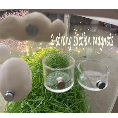 2Pcs Jumping Spider Feeding Dish, Magnetic Tiny Food Dishes Water Dish for Jumping Spider, Tarantula and Other Small Pets,Transparent - size: Multiple