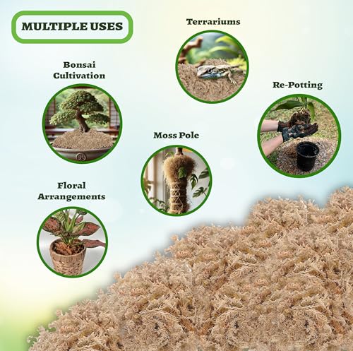 Premium Chilean Sphagnum Moss 5.3oz - Long Fiber Moss for Orchids, Terrariums, Reptiles & Plant Propagation – Natural Potting Moss for Indoor Plants, 6 QT