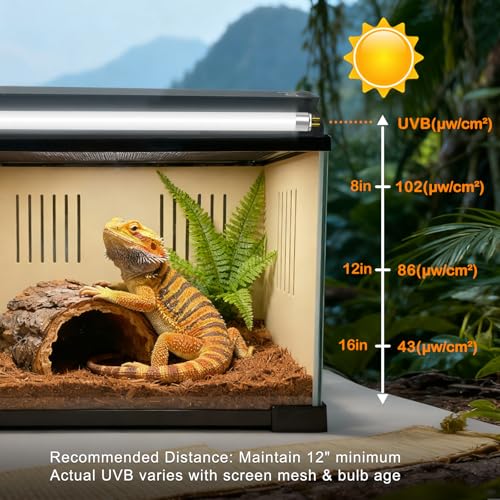 T5 10.0 UVB Light Bulb for Reptiles, 24W HO UVB Reptile Lamp Bulb, 2 Pack 22 Inch UVA UVB Fluorescent Lamp Tube for Bearded Dragon Leopard Gecko Tortoise Lizards - size: 24W-22INCH