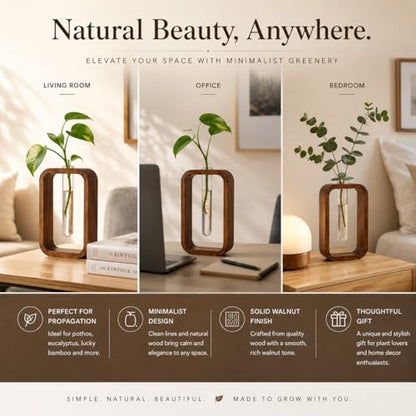 Modern Wooden Frame Glass Vase Hydroponic Planter – Minimalist Square Propagation Station with Test Tube Vase – Indoor Plant Terrarium for Flower, Cuttings & Home Office Decor