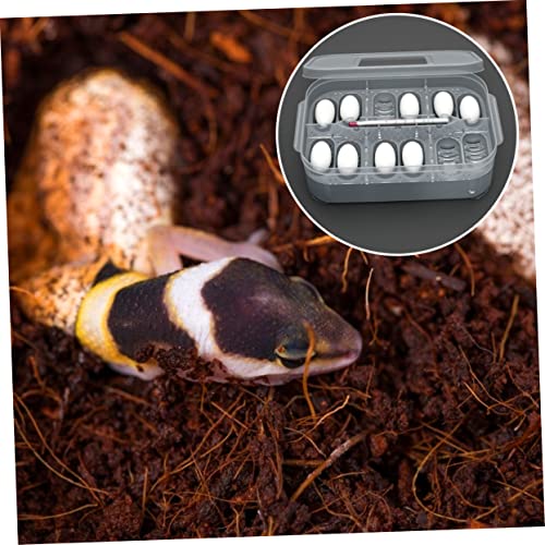 BESPORTBLE Egg Incubation Box for Reptiles Snake Gecko Incubator Trays 12 Egg Slots View Lightweight Safe for Boys and Girls