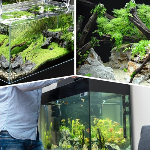 Aquarium Driftwood Natural Trunk Driftwood Assorted Branches 3.9-5.9" Assorted Trunk Terrarium Ornament(5 Pcs)