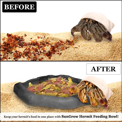 SunGrow Leopard Gecko Water Bowl, Hermit Crab Bathing Pool, 5 x 5.5 Inches, Reptile Food Bowl and Supplies, Water Dish and Climber, Charcoal Color, 1 Pc/Pack