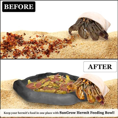 SunGrow Leopard Gecko Water Bowl, Hermit Crab Bathing Pool, 5 x 5.5 Inches, Reptile Food Bowl and Supplies, Water Dish and Climber, Charcoal Color, 1 Pc/Pack