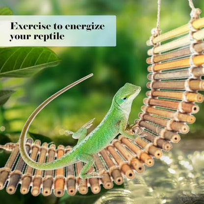 kathson Reptile Bridge for Terrarium,Bearded Dragon Wooden Bridges Gecko Hammock with Hanging Plants Lizard Lounger Bamboo Ladder Reptiles Tank Accessories Climbing for Chameleons Geckos Snakes (3Pcs) - size: Medium