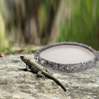 BESPORTBLE Reptile Water Bowl and Food Dish Resin Basin Shallow Pet Water Feeder for Turtles Lizards Snakes Bearded Dragons Terrarium Supplies