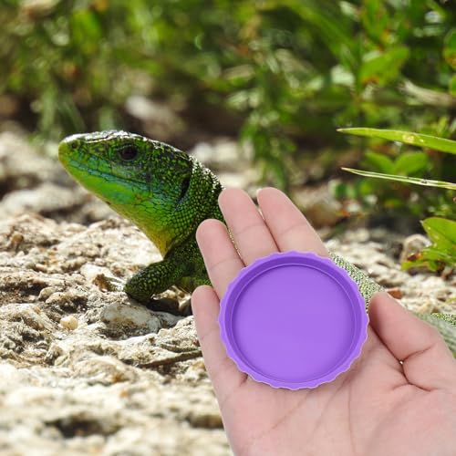 6 Pcs Gecko Food Cups, Crested Gecko Food and Water Bowl Reusable Silicone Crested Dish Feeding Cups for Lizard Anoles Bearded Dragons Tank Terrarium Accessories Supplies for Tortoise