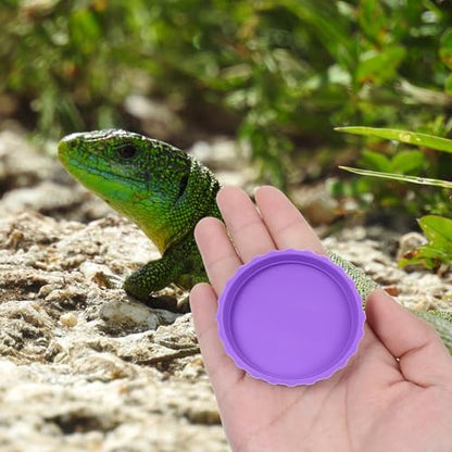 6 Pcs Gecko Food Cups, Crested Gecko Food and Water Bowl Reusable Silicone Crested Dish Feeding Cups for Lizard Anoles Bearded Dragons Tank Terrarium Accessories Supplies for Tortoise