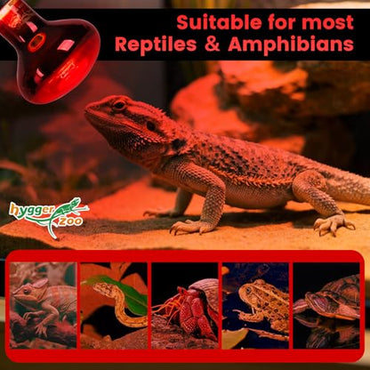 75W Infrared Heat Lamp Bulbs – 2-Pack Red IR Basking Light for Reptile & Amphibian, Silent Night-Time Heating, E26 Base, Bearded Dragon,Lizard,Turtle,Chicken - color: Red, size: 75W