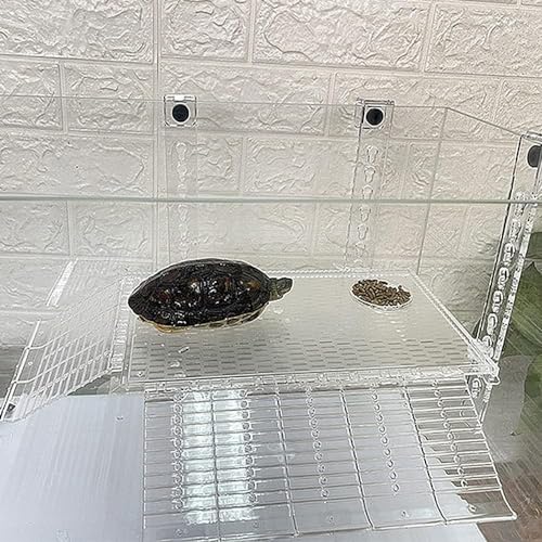 RUIAN Transparent Turtle Basking Platform Hanging Turtle Ramp, Resting Terrace for Turtles Tank Aquarium (30 * 18cm)