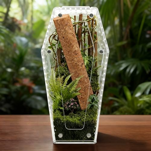 Jumping Spider Enclosure, Magnetic Door Acrylic Terrarium with Feeding Dish & Landscape Stick for Tarantula Snails Insects Reptiles Plants, Coffin Shape Tabletop Decor 4" x 4" x 8"