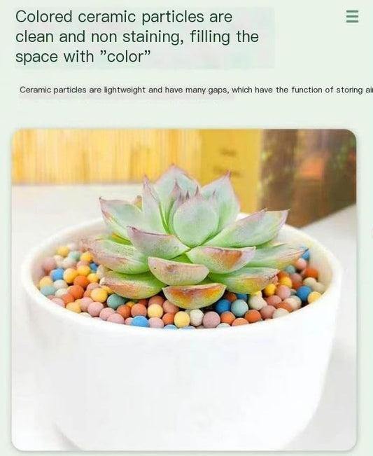 Colorful Clay Pebbles Multicolor Ceramsite Pellets Succulent Orchid Potted Plants - color: 1 lb, size: 9-11mm