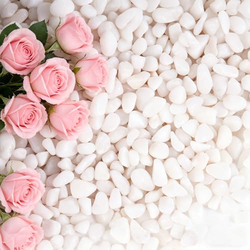 2.2 lbs White Pebbles, 3/8 inch Pebbles for Plants, Small Rocks for Plants, Suitable for Succulent Plant Decoration, Vases, Cactus Potted Plants, Fish Tanks - color: White, size: 3/8 Inch 2.2 LB
