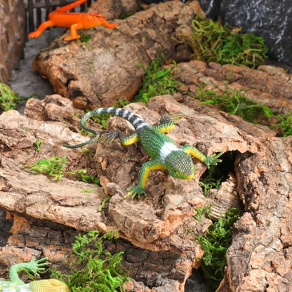VANZACK 14Pcs Reptile Cork Bark Hideouts Lizard Climbing Bark Reptile Basking Platform Terrarium Decorations for Snakes Geckos Bearded Dragon Tank Accessories