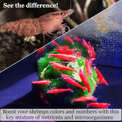 SunGrow Shrimp Calcium White Powder, Supports Healthy Molting, Improves Shell Color, Growth & Strength, Enhances Water Quality, Breeding Support, Essential Mineral for Freshwater Shrimp, 1.8 oz