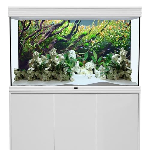 YongFoto Fish Tank Background 24x16 inch Aquarium Background River Bed Waterweeds Moss Lake Aquatic Plant Undersea Tree Branch Backdrop Reptile Habitat Terrarium Background - color: Green-2, size: 24x16in/60x40cm