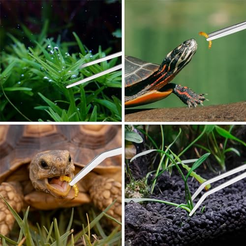 Ohtomber 4PCS Aquascape Tool Aquarium Kit with Tweezers Scissors Scraper | Rustproof Stianless Steel, Long Handle, For Trimming Scraping Reptile Feeding, Fit Aquariums Terrariums, Tank Maintenance Set