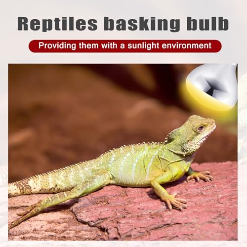 4 Pack 250 Watt Heat Lamp 120v R40 Heat Lamp Bulbs Glass Incandescent Light Bulbs Incandescent Heating Lightbulbs for Reptiles Chicks Food Puppies Bathroom, Use E26 Base (Silver,Red) - color: Silver, Red