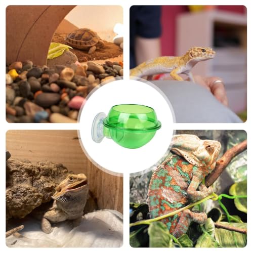 Reptile Feeding Bowl Suction Cup Anti-Escape Food Dish | Anti-Escape Worm Live Fodder Translucent Container for Lizard Gecko Snake Frog Turtle Tortoise Spider Habitat