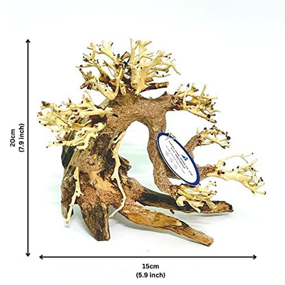 Bonsai Driftwood Aquarium Tree (8in H x 6in L), Handcrafted Fish Tank Decoration | Easy to Install Driftwood Bonsai for Fish Tank | Decor Aquascape Wood (Bonsai Tree)