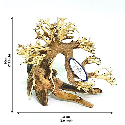 Bonsai Driftwood Aquarium Tree (8in H x 6in L), Handcrafted Fish Tank Decoration | Easy to Install Driftwood Bonsai for Fish Tank | Decor Aquascape Wood (Bonsai Tree)