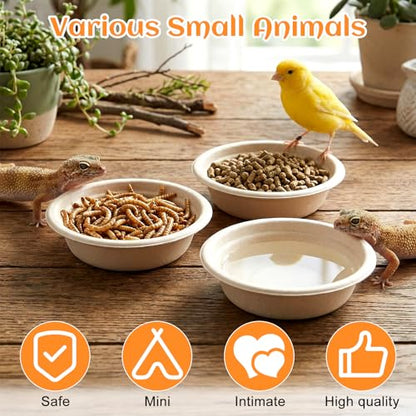 300 Pack 1 Oz Gecko Feeding Cups Food Cups Disposable Paper Bowls Reptile Water Dish for Crested Gecko, Lizards, Snakes, Spiders, Frogs, Hermit Crabs