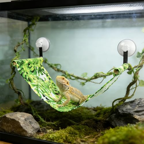 Bearded Dragon Hammock for Window, Bearded Dragon Window Perch with Suction Cups, Reptile Tank Accessories Suitable for Lizard Leopard Gecko Chameleon Kitten Rat (Green)