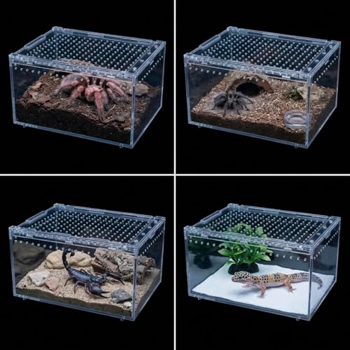 Small Tarantula Enclosure 8×6×4", Magnetic Escape-Proof Terrarium | Compact Clear PC Enclosure with Sliding Lid & 360° Viewing, Perfect for Isopods, Beetles & Small Tarantulas, Easy Setup - size: A-S(8x6x4in)