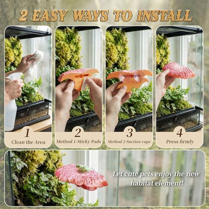 Mushroom Reptile Ledge| Tree Frog Terrarium Tank Accessories, Crested Gecko Tank Accessories, Frog Habitats, Fish Tank Decor| Terrarium Plants Decor from Daughter| 4 Suction Cups